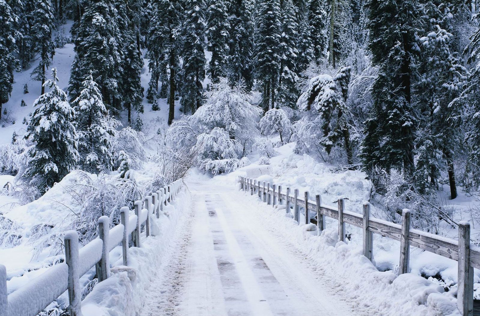 Vocabulario leonés referente a la nieve